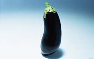 人力资源